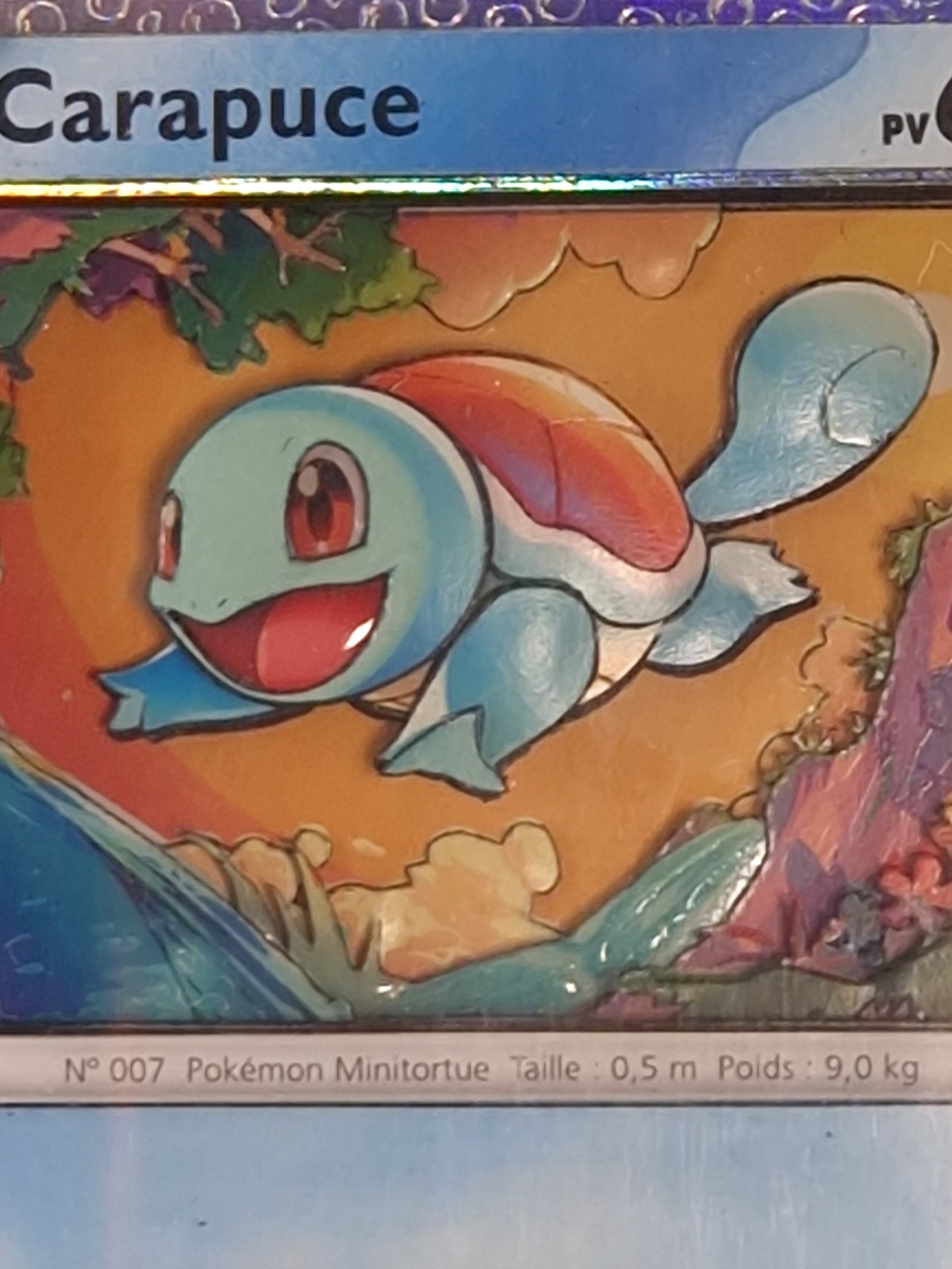 Carapuce, Shadowbox fait main