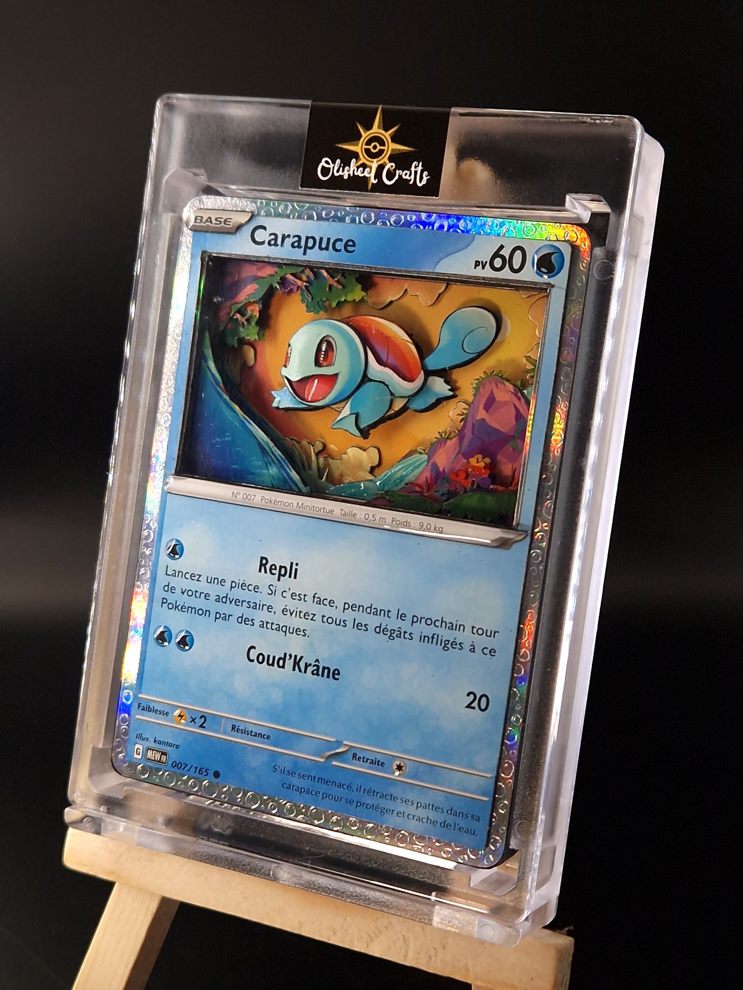 Carapuce, Shadowbox fait main