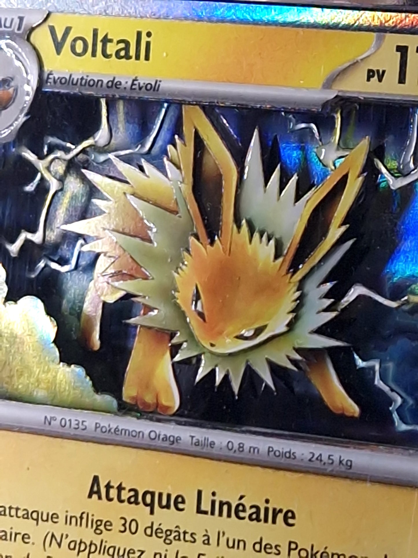 Voltali, Shadowbox fait main