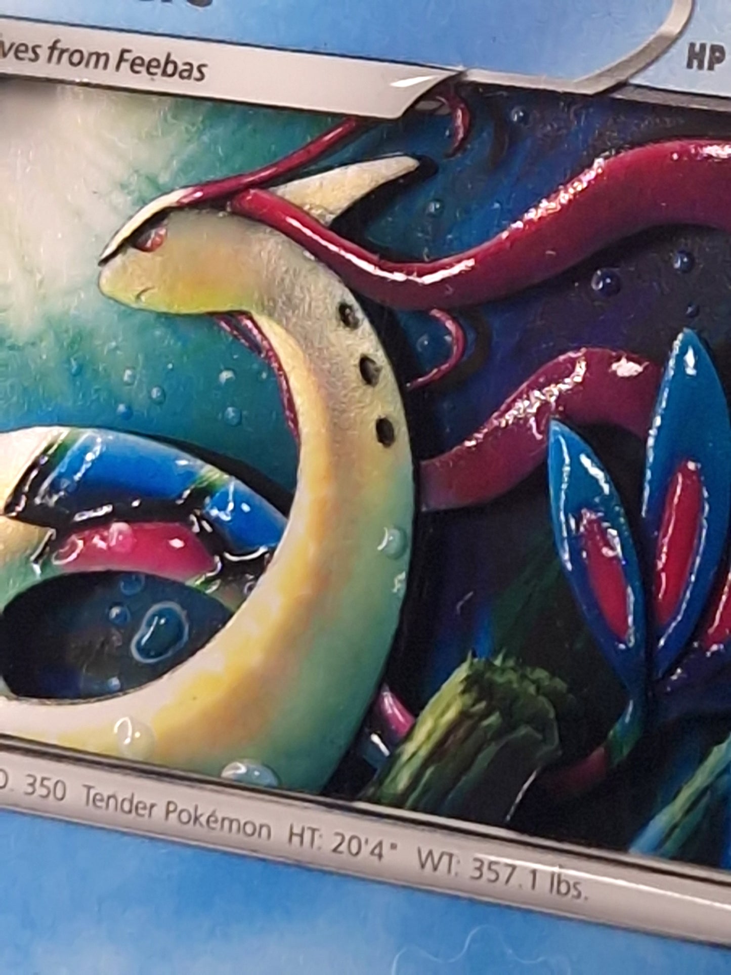 Milobellus, Shadowbox fait main