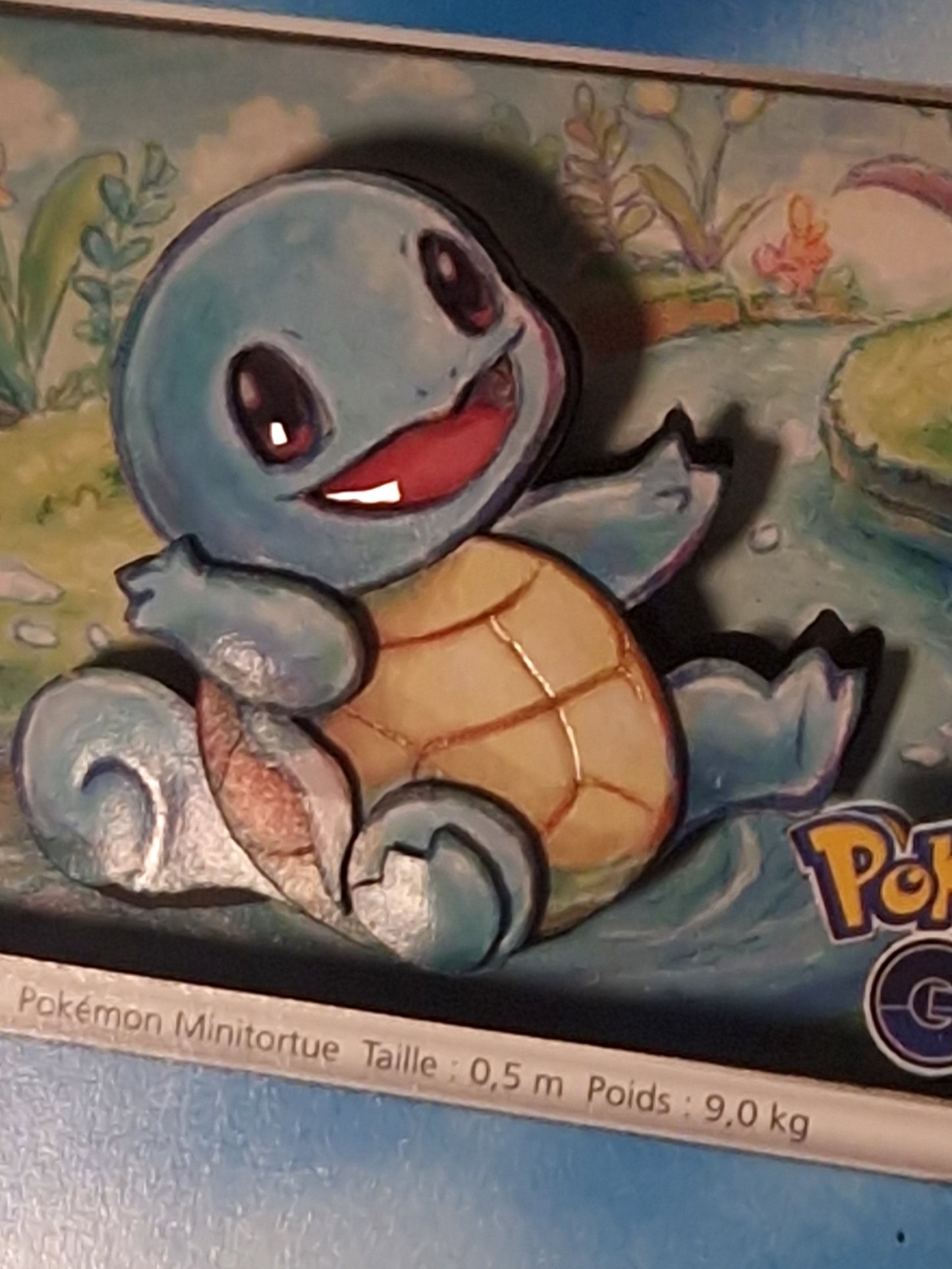 Carapuce, Shadowbox Mini fait main