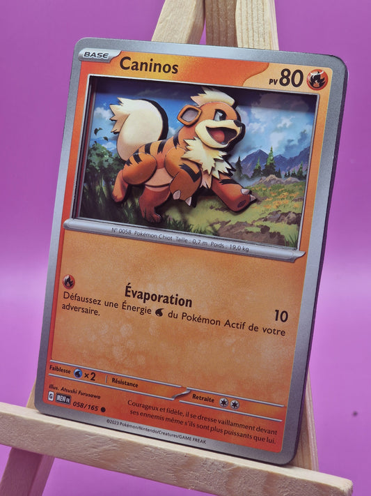 Caninos, Shadowbox fait main [Adopté]