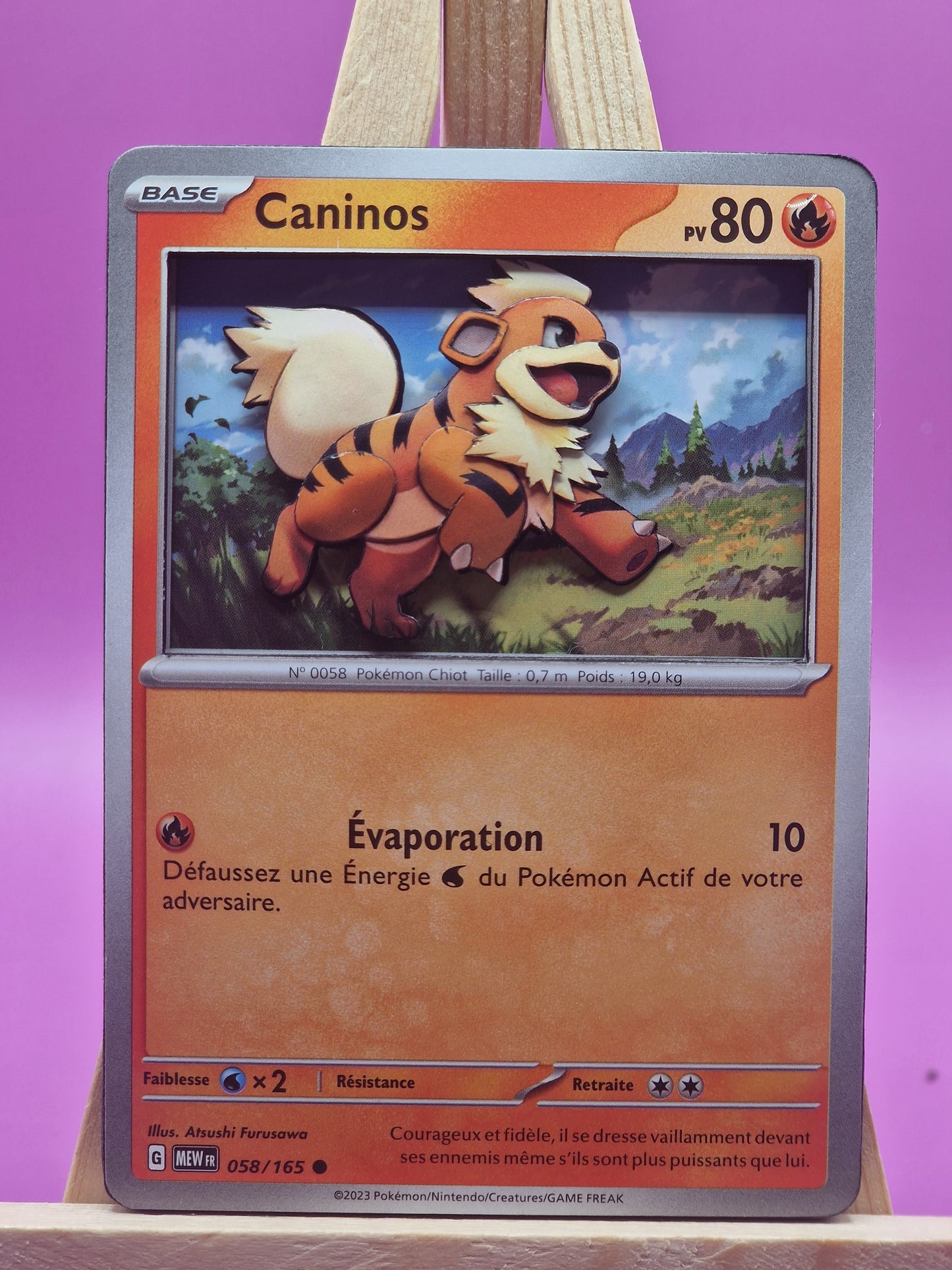 Caninos, Shadowbox fait main [Adopté]