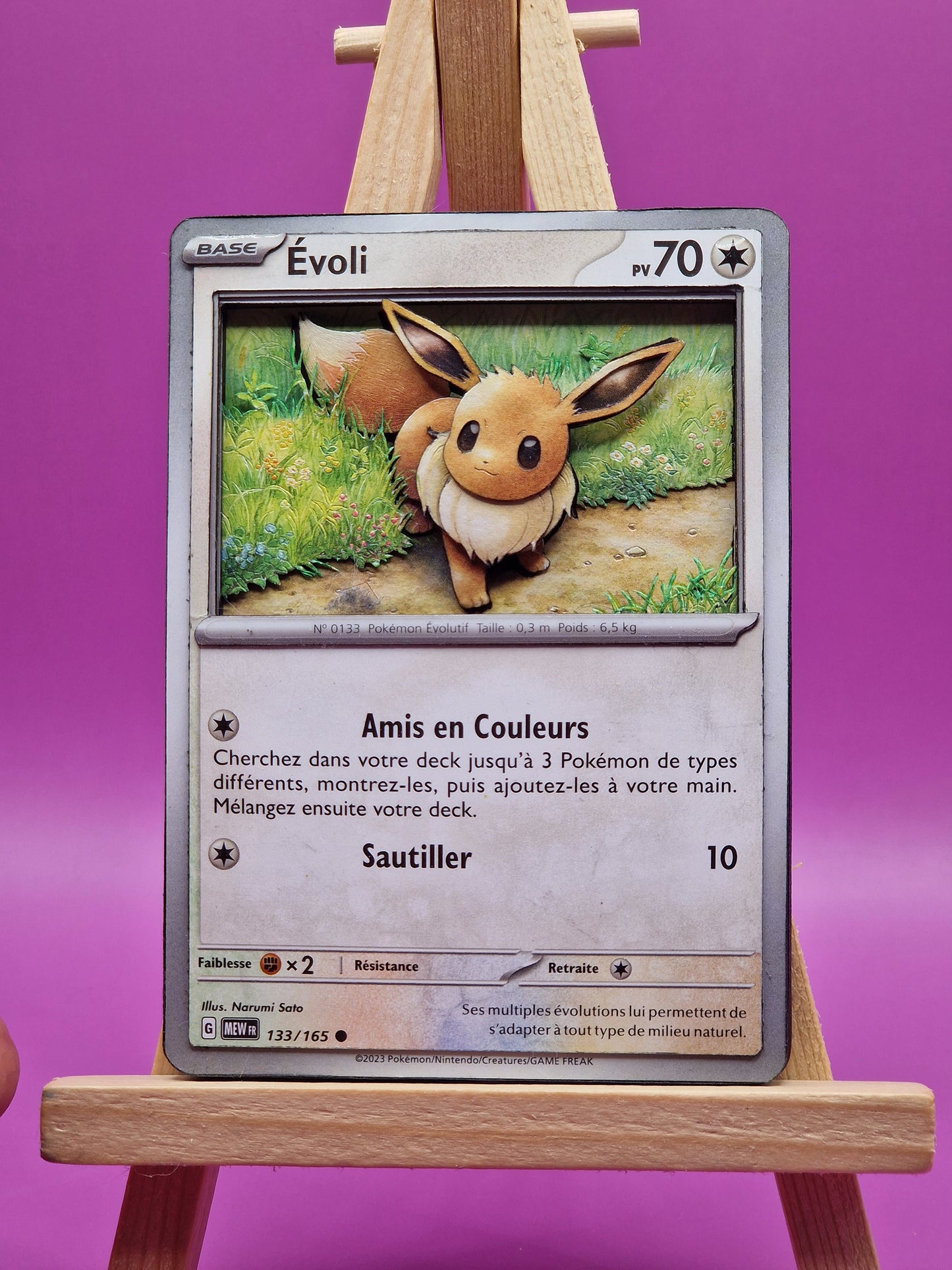 Evoli, Shadowbox fait main [Adopté]